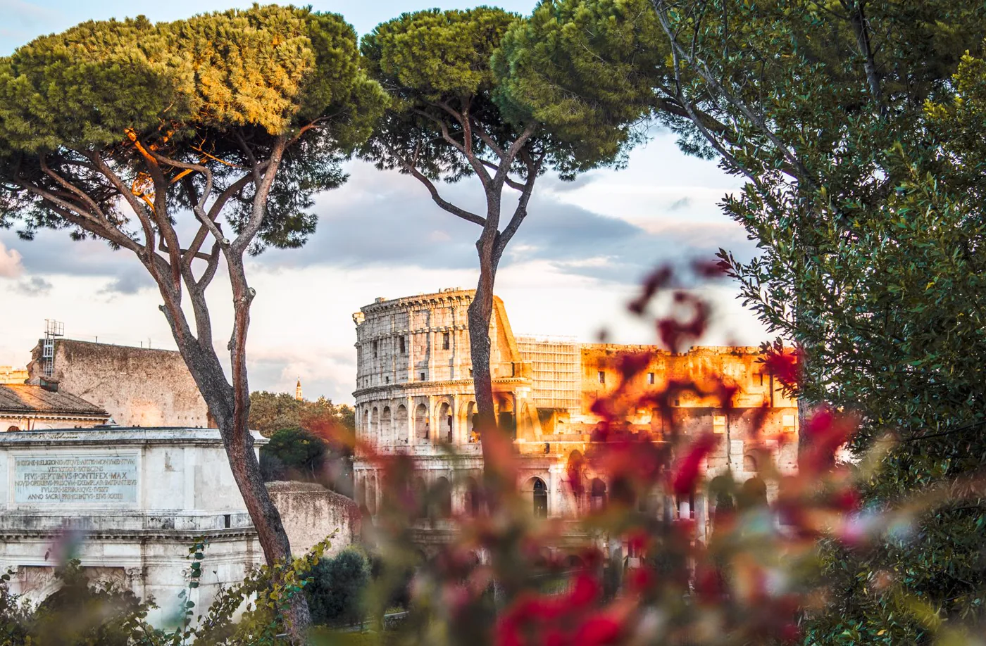 The Colosseum framed by umbrella pines and flowers in Rome